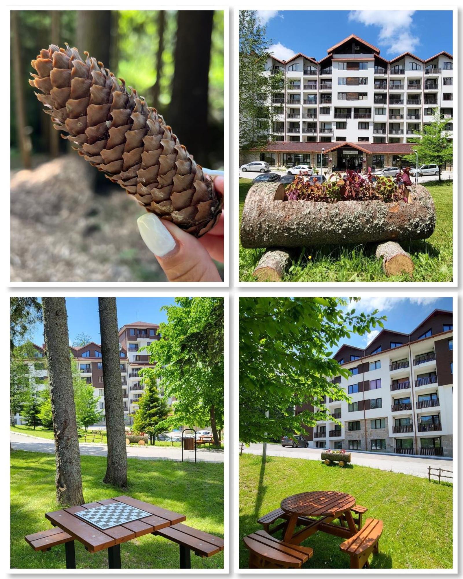 The Green Apartment Боровец Екстер'єр фото
